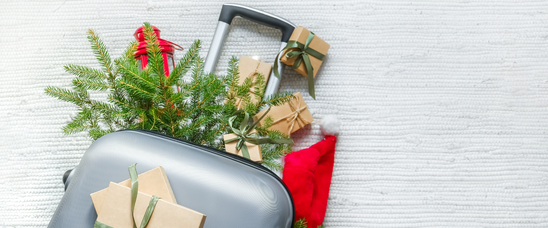 Thorek Homepage Slider-Dec-15-2023-01-19-42-5825-PM