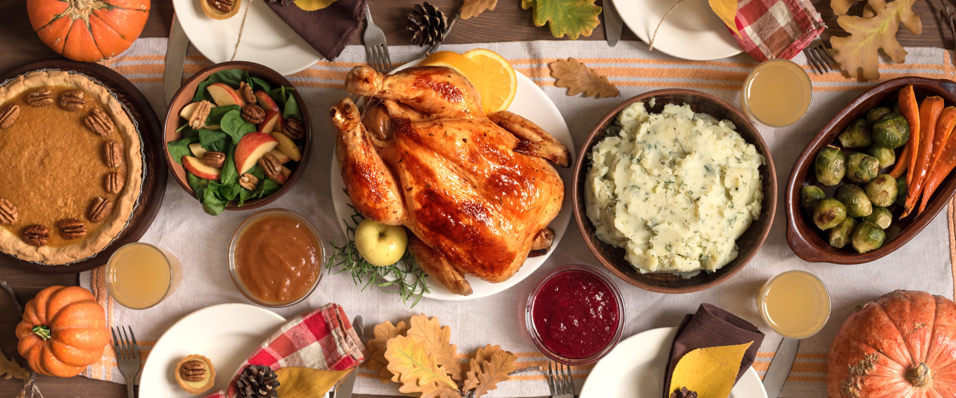 Thorek Homepage Slider-Nov-18-2022-01-46-18-2048-PM